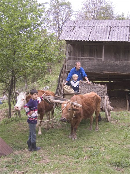 03 гужевой транспорт